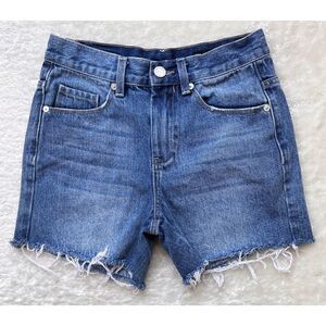 {BLANKNYC} The Barrow Vintage High-Rise Short